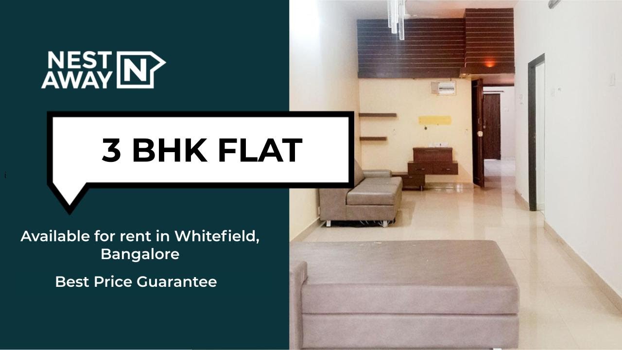 3 BHK Flat for rent in Bangalore Whitefield Bachelors/Family No Brokerage YouTube