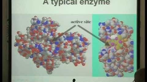 Talk by Nobel Laureate Dr. Ada Yonath Part 1