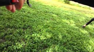 20140517 080651