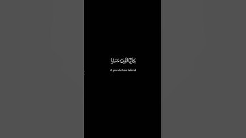 إن الله وملائكته يصلون على النبي #قرآن #تلاوة_خاشعة #راحة_نفسية #صلوا_على_النبي #اكسبلور #لايك