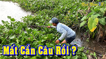 Đi Câu Cá Rô, Câu Cá Tra Sông Xém Mất Luôn Cây Cần Câu, Giăng Lưới Bắt Cá Chiên Giòn/NGÃ NĂM TV