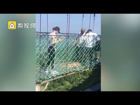 走高空吊桥 萌犬吓得匍匐前进 Youtube