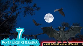 ❗Unique Facts About Bats That Will Surprise You – Secrets of Nocturnal Creatures Revealed❗