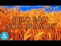 Hinário Adventista 522 - PELO PÃO NÓS ORAMOS