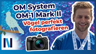 OM System OM-1 Mark II: Problem gelöscht: Einstellungen & Funktionen für die Vogelfotografie