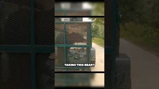 How to Relocate a Florida Black Bear