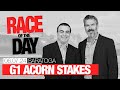 Drf friday race of the day  grade 1 acorn stakes  june 7 2024