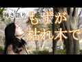 弾き語り 【もずが枯れ木で Mozu ga kareki de】 茨城県で広まった反戦歌【茨城県の歌】
