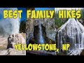 Top 7 family hikes in yellowstone np