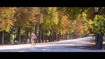 CANON 7D RAW VIDEO TEST (Magic Lantern)