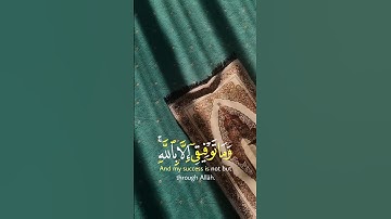 #قران_كريم ﴿وما توفيقي الا بالله عليه توكلت واليه انيب ﴾ تلاوه عذبه 🤍 بصوت القارئ #مشاري_العفاسي
