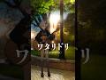 ワタリドリ / [Alexandros] 弾き語りしました #shorts #弾き語り#vsinger #alexandros