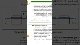 schematic  Structure of transcription unit NCERT diagram#neet#m.imp for 12th, neet#Urvashi bio easy