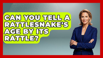 Can You Tell A Rattlesnake