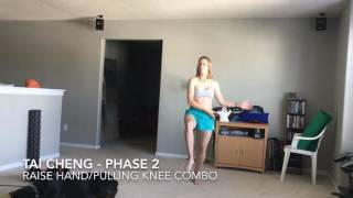 Tai Cheng - Raise Hand/Pulling Knee Combo