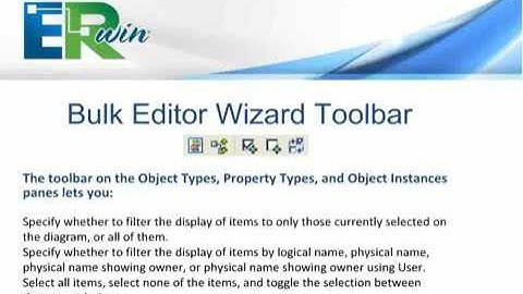 ERwin Data Modeler Technical Overview Bulk Editor and Bulk Editor Wiza