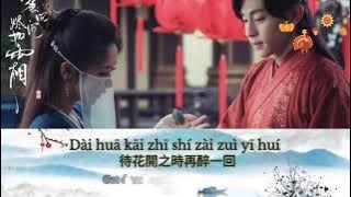 Unsullied-Mao Buyi|不染-毛不易|Pinyin/Chinese/English Lyrics