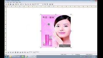 FLEXTRON | How to install UltraPrint on Win7