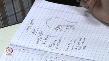 Mod-01 Lec-08 Organs of Articulation