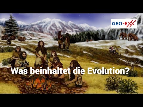 Video: Beeinflussen Disziplinarische Kontexte Das Lernen Der Evolution? Bewertung Von Wissen Und Missverständnissen Bei Anthropologiestudenten Und Biologiestudenten