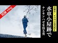 イラガ1000匹!水車小屋跡で南京ハゼを伐採した コメリ★BS18VHC150