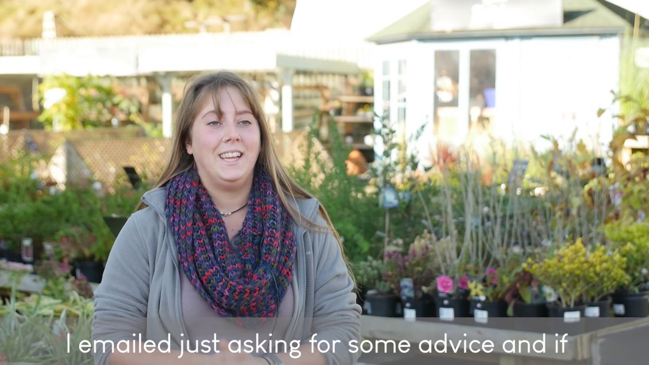 Lou's Gwernymynydd Plant Project - North Wales 2019