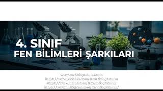 4. Sınıf Fen Bilimleri Vitaminler bizi korur şarkısı kapak görseli