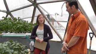 Aquaponics in a Growing Dome
