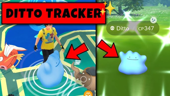 How To Catch A Ditto In Pokemon Go (November 2023)