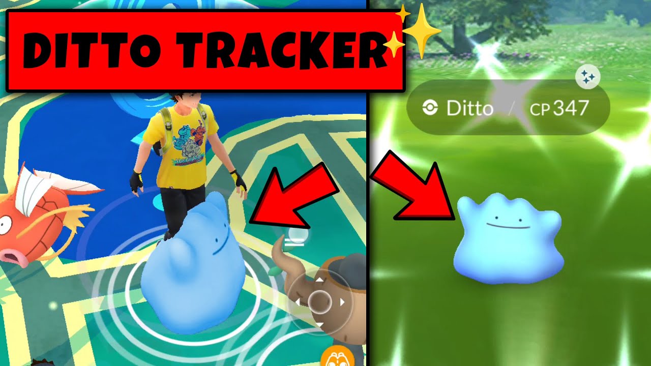 How to Catch Ditto in Pokemon Go ? Ditto Disguise September in Pokemon