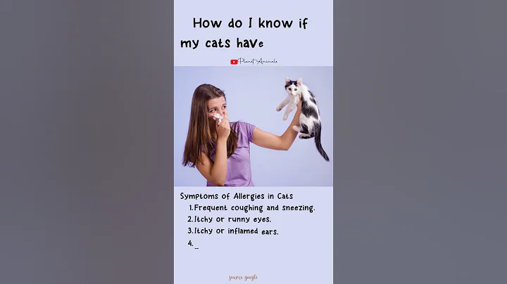 How do I know if my cats have allergies