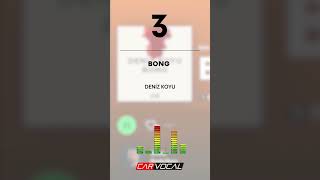 İyi Bir Ses Sisteminde Sesi Açmanız Için Sekiz Farklı Müzik Önerisi.