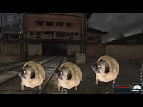 Мопсы танцуют под радио бандитов из сталкера 10 часов|Pugs dance to the bandit radio stalker 10 hour