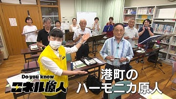 【予告】エネル原人　第４１回「港町のハーモニカ原人」