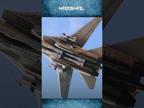 إف 14 توم كات تملكها إيران وتخشاها أمريكا