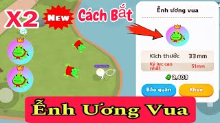 (Play Together) Cách Bắt ẾCH ƯƠNG VUA Thành Công 100%