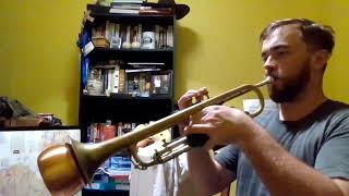 Trumpet Solo from "Everything You Touch Is Gold" by Gregory Porter