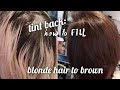 tint back: how to FILL blonde hair to brown