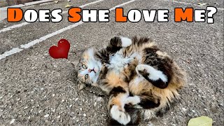 She loves me and show her love to me by rolling around herself by Cats Land 295 views 4 months ago 3 minutes, 59 seconds