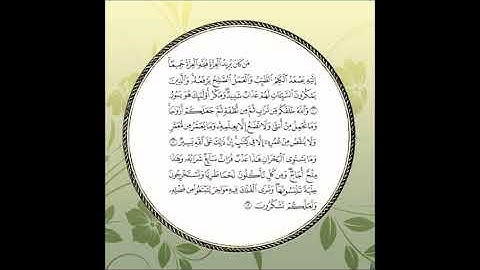 سورة فاطر مكررة آية : ( 10 إلى 12 )