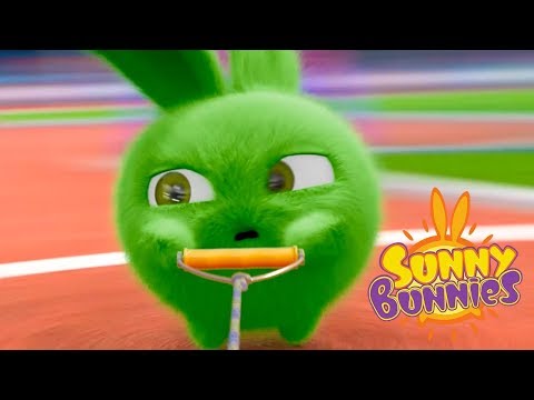 Videos For Kids | ATHLETIC BUNNIES | SUNNY BUNNIES | Funny Videos For Kids