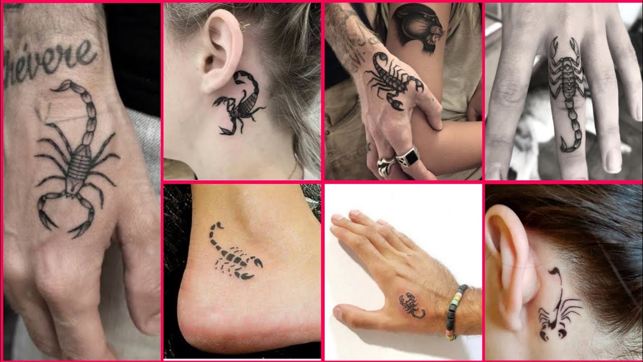 Waterproof Temporary Tattoo Sticker 3d Scorpion Bird Fish Animal Face Body  Art Foot Arm Fake Tatto Flash Tatoo For Women Men - Temporary Tattoos -  AliExpress