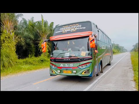 Batal Mendarat!!! Bus ALS 340 _ xXx Trip Medan - Malang|| Fans Gagal Foto Bareng #shorts