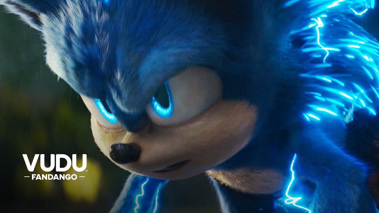 Subscribe to this boi  Hedgehog art, Sonic unleashed, Hedgehog movie