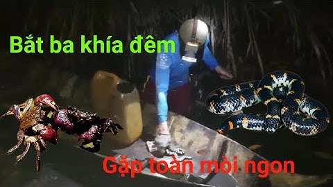 9.[Hai Lúa Miệt Vườn] Hành trình về Cà Mau | Phần 3 : Bắt ba khía đêm.