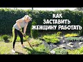 Деревенская жизнь и снова переезд. Планировка участка и новая клумба для цветов.