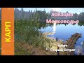 Русская рыбалка 4 - озеро Старый Острог - Карп у мостков