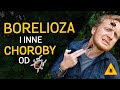 Borelioza i inne choroby przenoszone przez kleszcze - film z serii "o Kleszczach" - odc.02