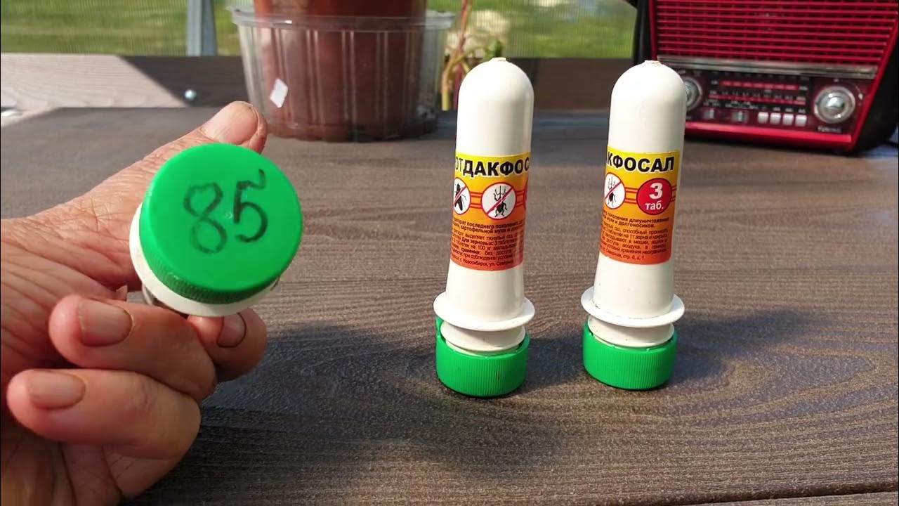 Большая Беда в теплице. Кроты. Только газовые таблетки. - YouTube