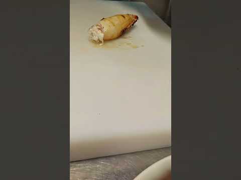 Kalamar Dolasinda Darides Instagram Youtube Tiktok Facebook Reels Müzik Takipet Keşfet